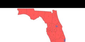 Florida Court Lets Controversial Map Stand