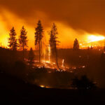Three Firefighters Killed Battling Inferno A forest engulfed in flames during a wildfire at night