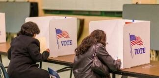People voting in booths at a polling station.
