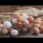 Egg Producers Face Collusion Claims Settlement reached over allegations of egg price-fixing