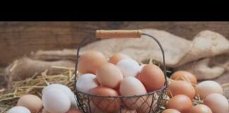 Settlement reached over allegations of egg price-fixing