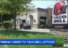 CDC Flags Taco Bell Lettuce—Thousands Sick CDC Flags Taco Bell Lettuce—Thousands Sick
