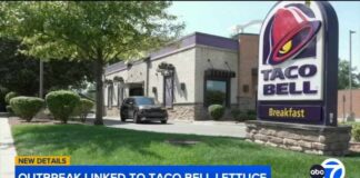 CDC Flags Taco Bell Lettuce—Thousands Sick
