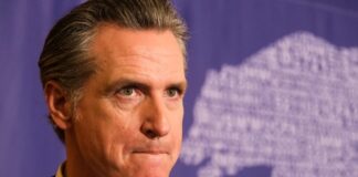 A serious-looking political figure at a press event with a bear graphic in the background