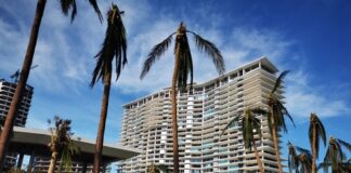 Damaged residential building surrounded by palm trees after a storm