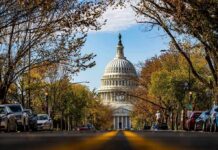 Spy Interns On Capitol Hill? United States Capitol dome framed by a tree-lined street