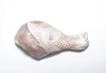 Raw chicken drumstick on a white background.