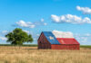 Barn roof painted as Texas flag, tree nearby.