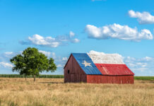 Barn roof painted as Texas flag, tree nearby.